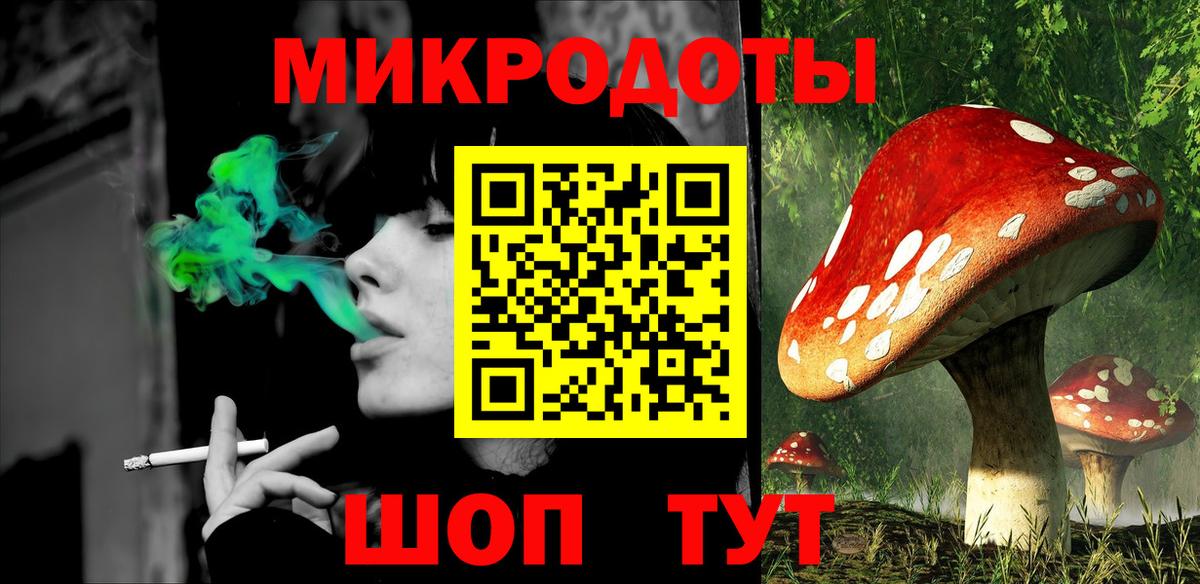 Псилоцибиновые грибы мицелий Каменка